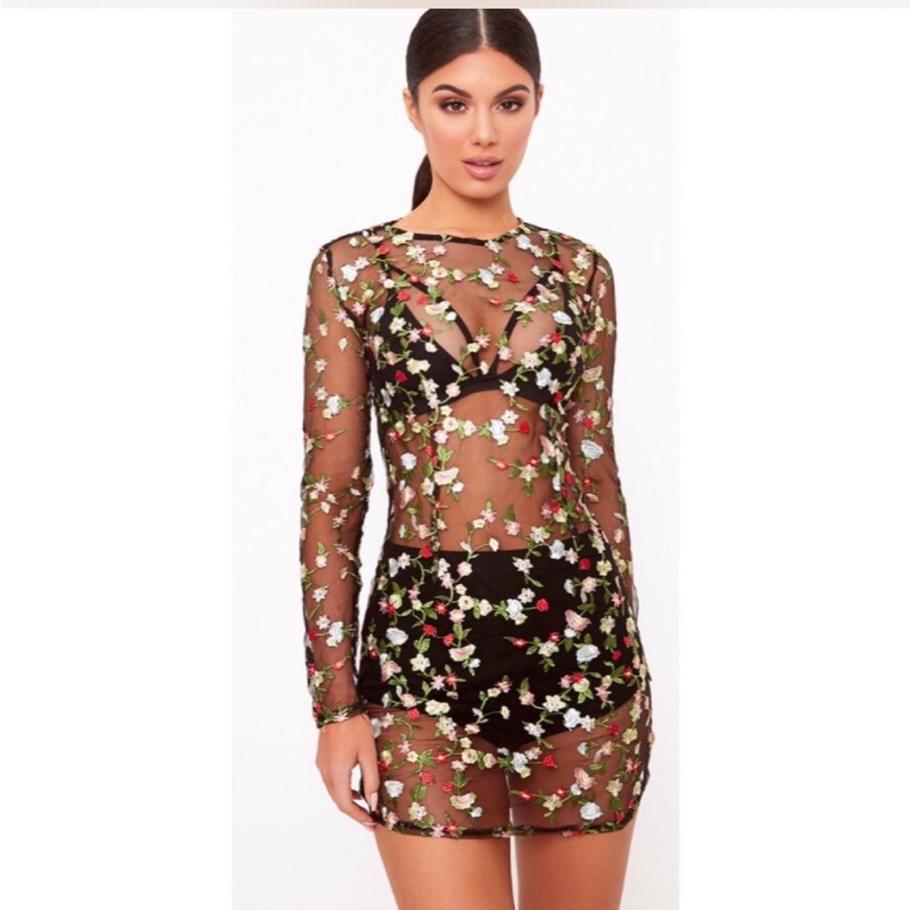 Floral Embroidered Sheer Dress